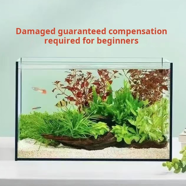 Acuario Rectangular de Vidrio  - Aquarium Fish Keeping reseña y precio