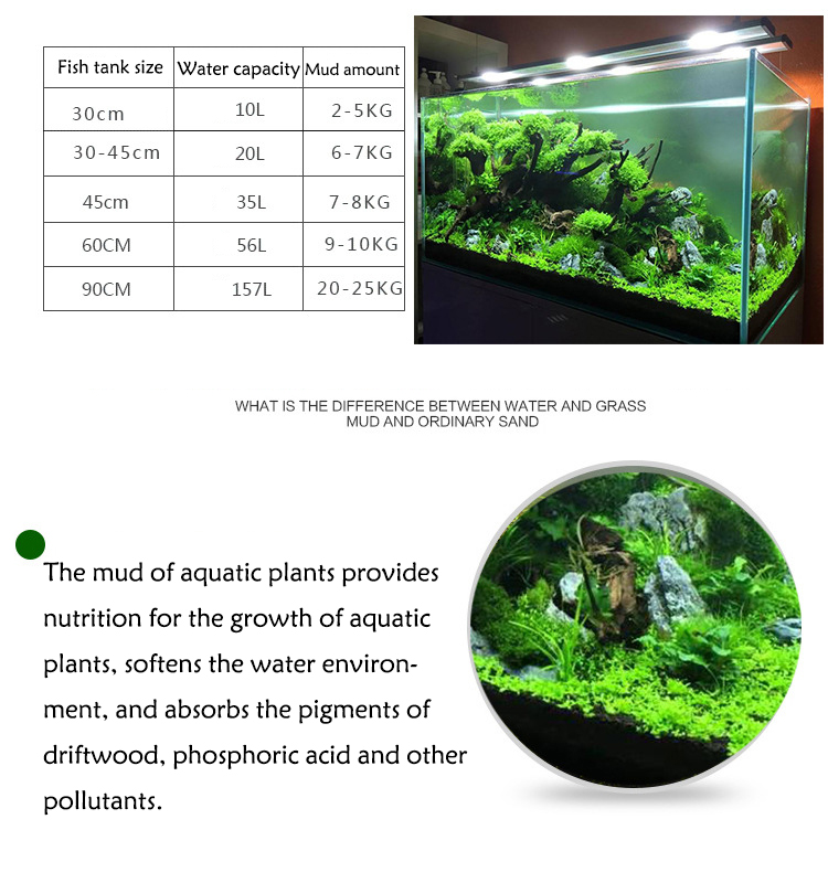 Semillas de plantas de Acuario - Aquarium Fish Background reseña y precio