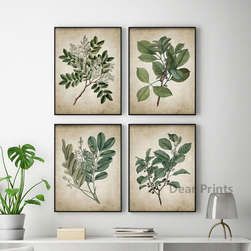 Póster botánico de hoja verde  - Live Plant Fertilizer reseña y precio