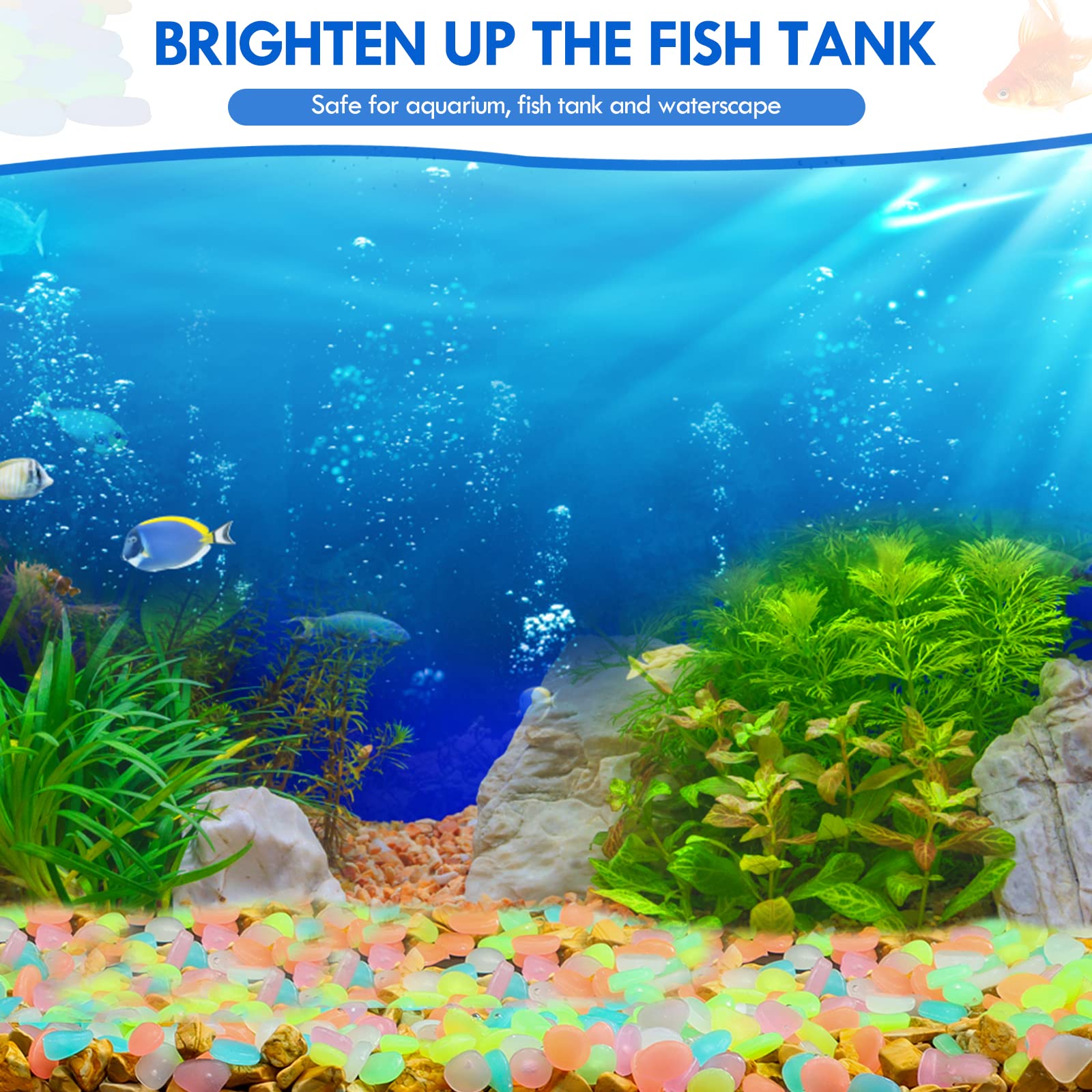 100 Uds. De guijarros que bril - Aquarium Fish House reseña y precio