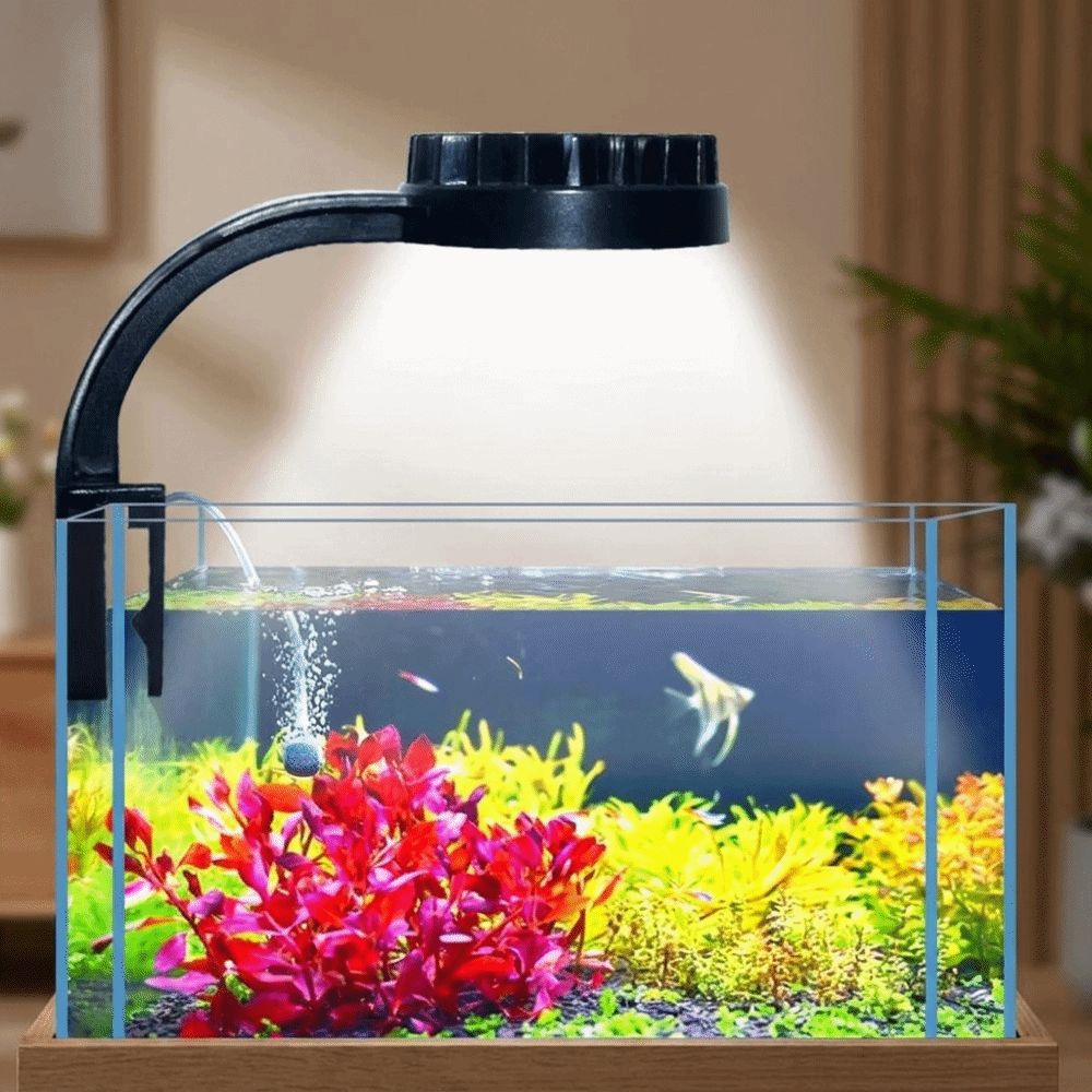 Lámpara de Clip para Acuario d - Aquarium Fish Keeping reseña y precio
