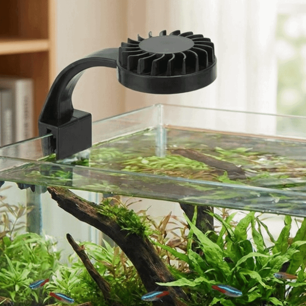 Lámpara de Clip para Acuario d - Aquarium Fish Keeping reseña y precio