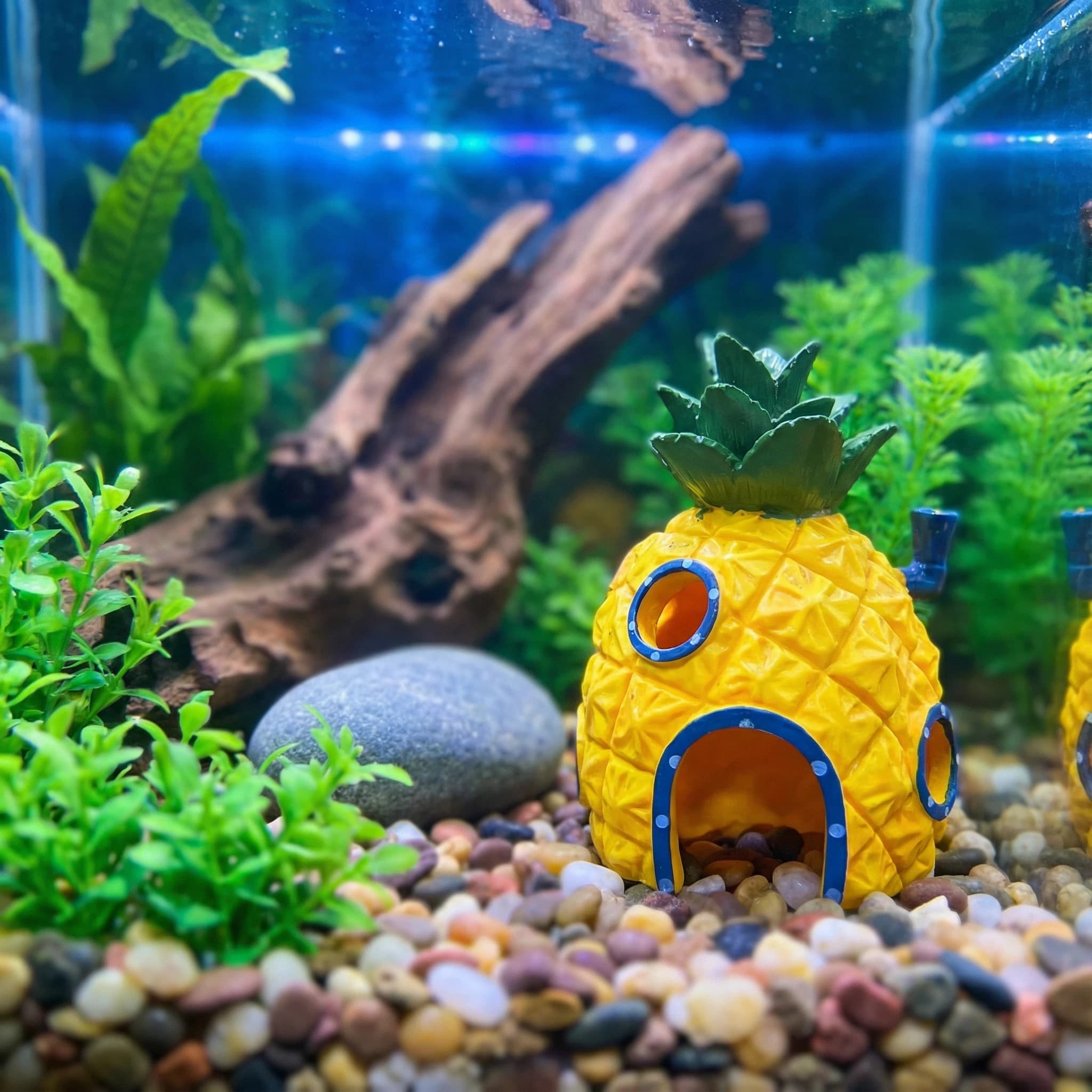 Decoración para Acuario Pineap - Aquarium Fish Hideout reseña y precio