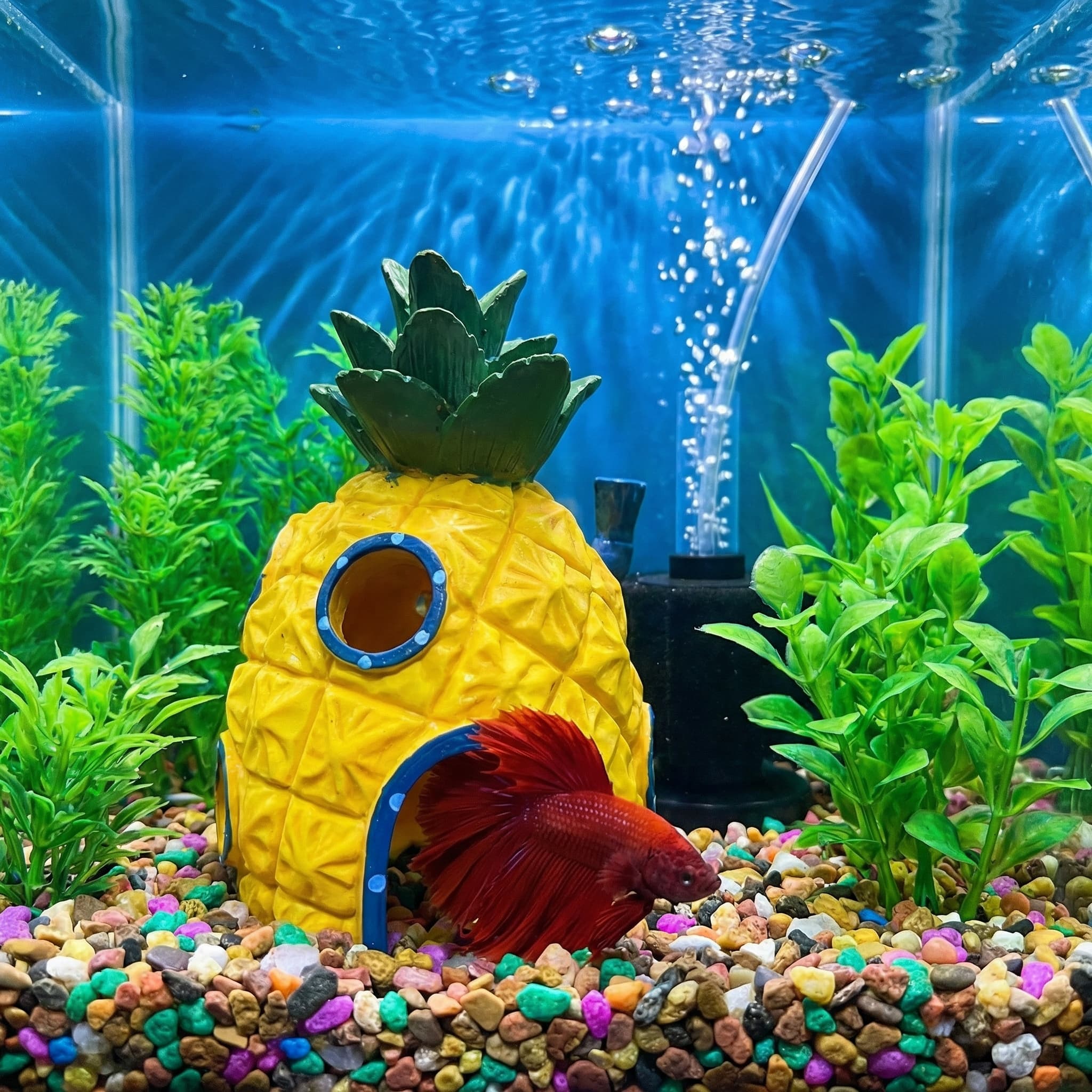Decoración para Acuario Pineap - Aquarium Fish Hideout reseña y precio