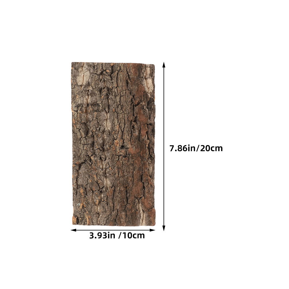 3 uds. De corteza de corcho pa - Aquarium Fish Background reseña y precio