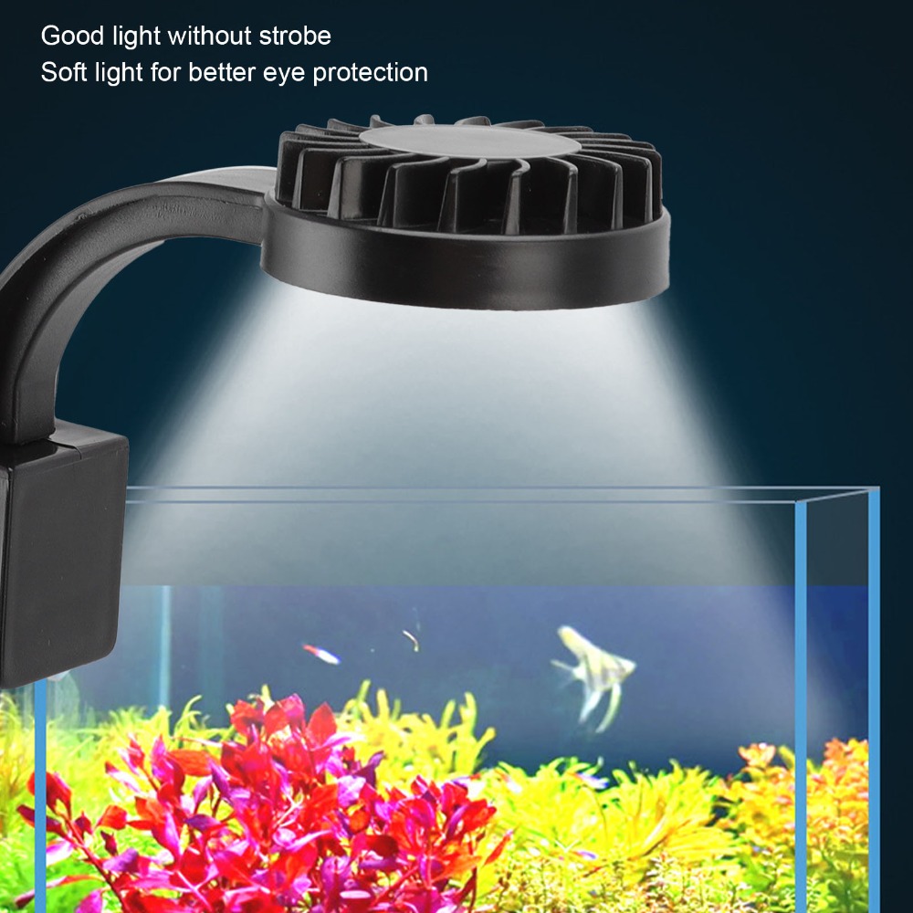 Luz LED para pecera de alto br - Aquarium Fish Keeping reseña y precio