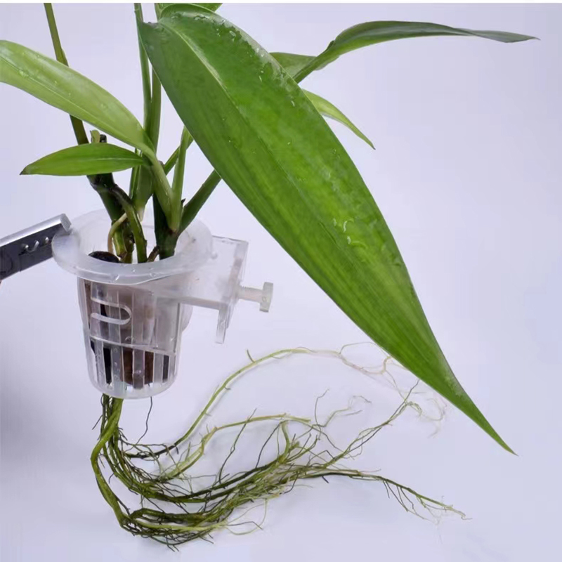 Cesta de plantación de acuario - Aquarium Fish Pot reseña y precio