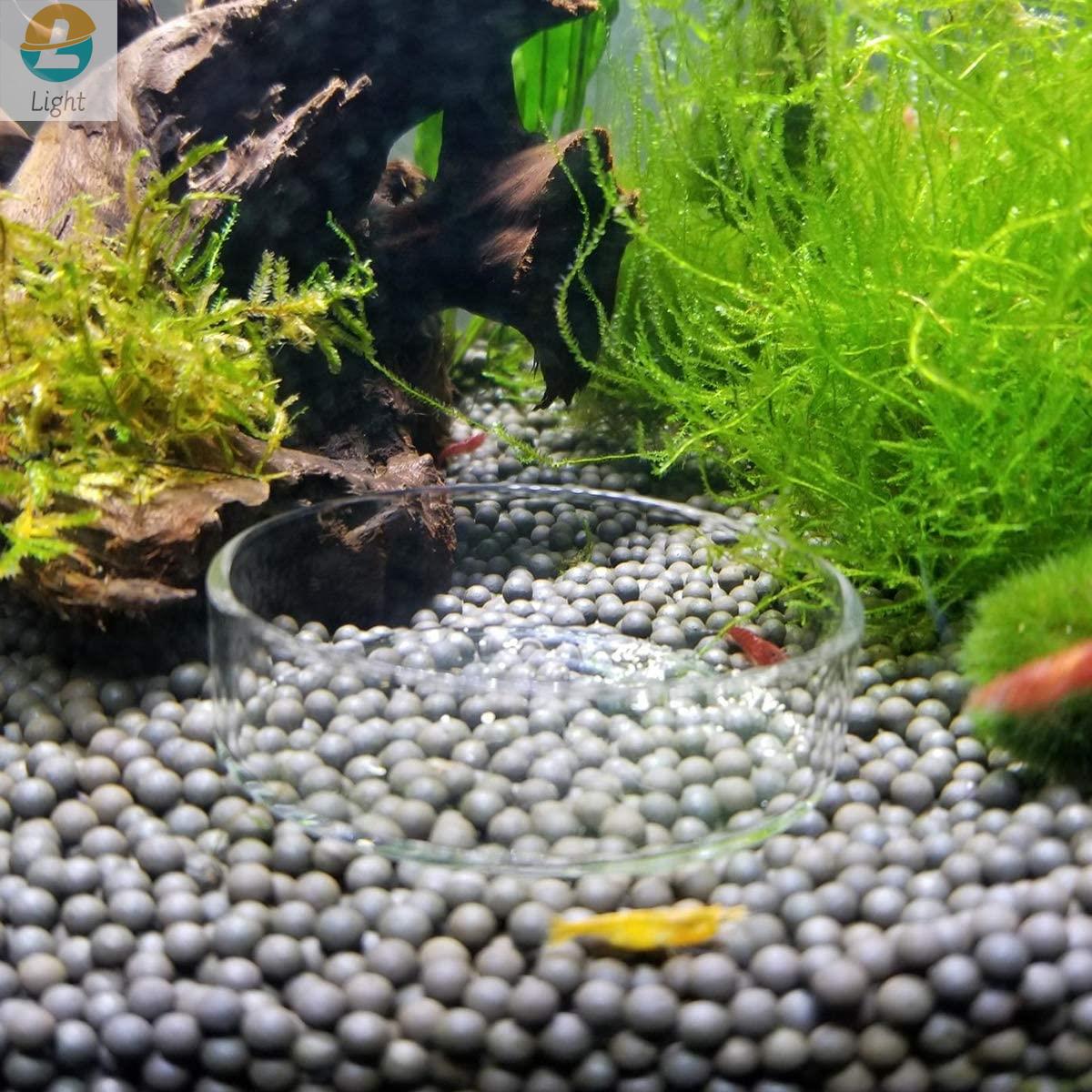 Cuencos alimentadores para acu - Aquarium Fish Keeping reseña y precio