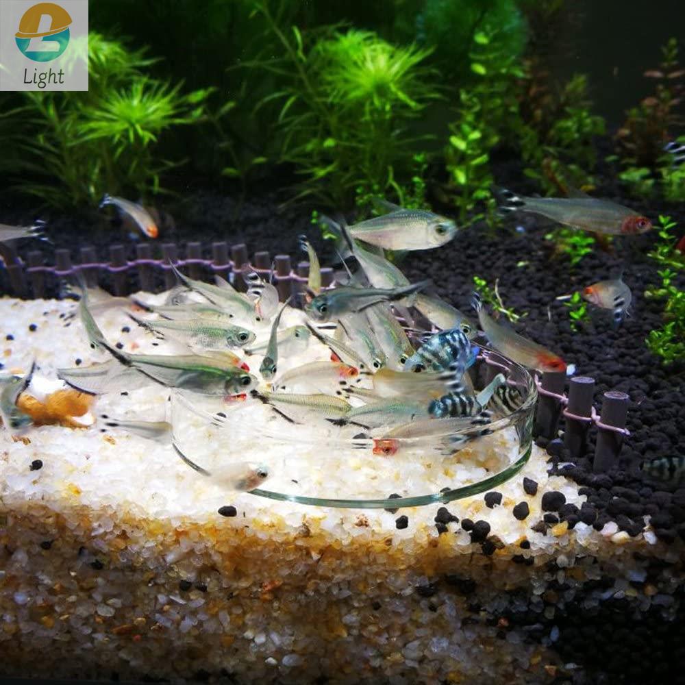 Cuencos alimentadores para acu - Aquarium Fish Keeping reseña y precio