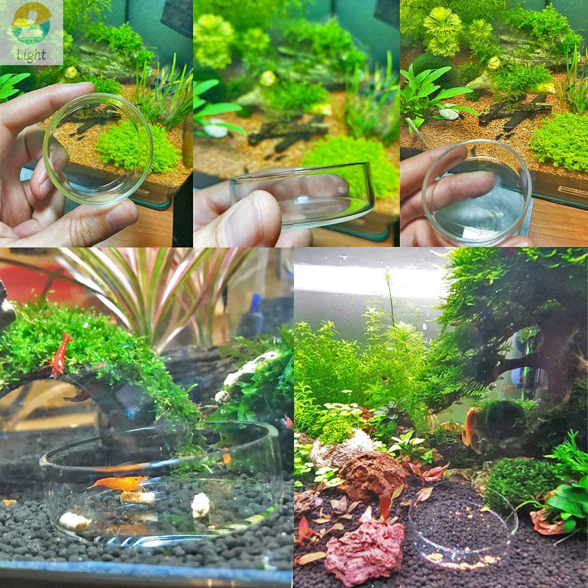 Cuencos alimentadores para acu - Aquarium Fish Keeping reseña y precio